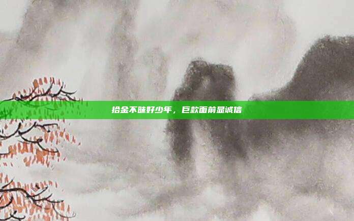 拾金不昧好少年,巨款面前显诚信