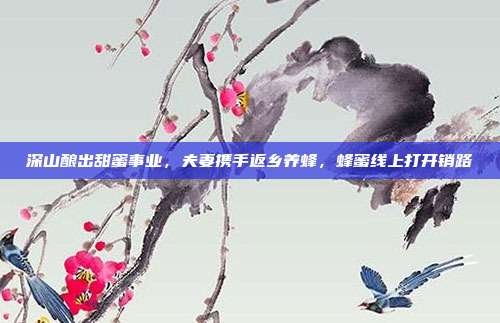 深山酿出甜蜜事业，夫妻携手返乡养蜂，蜂蜜线上打开销路