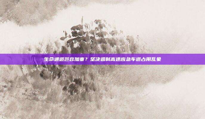 生命通道岂容加塞?坚决遏制高速应急车道占用乱象