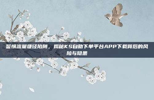 警惕流量捷径陷阱，揭秘KS自助下单平台APP下载背后的风险与隐患