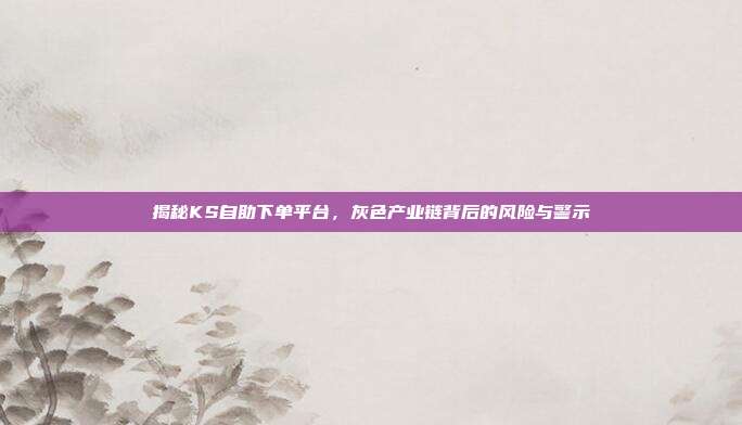 揭秘KS自助下单平台，灰色产业链背后的风险与警示