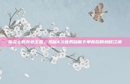 指尖上的灰色王国，揭秘KS业务自助下单背后的蚂蚁江湖