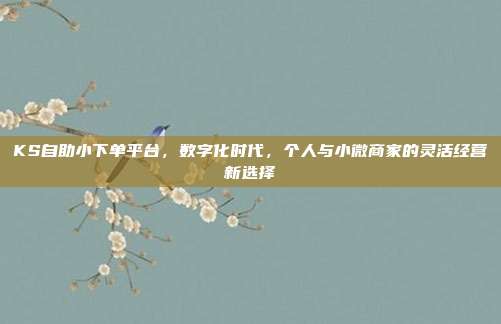 KS自助小下单平台，数字化时代，个人与小微商家的灵活经营新选择