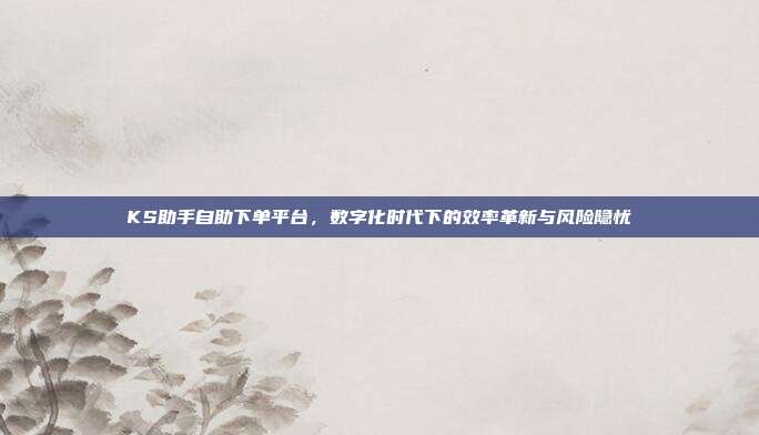 KS助手自助下单平台,数字化时代下的效率革新与风险隐忧