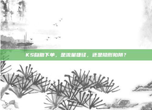 KS自助下单，是流量捷径，还是隐形陷阱？