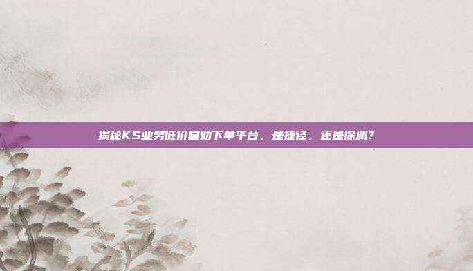 揭秘KS业务低价自助下单平台，是捷径，还是深渊？