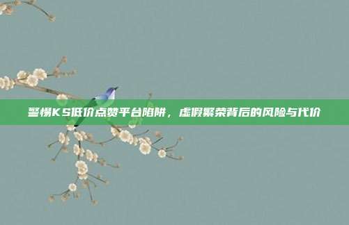 警惕KS低价点赞平台陷阱，虚假繁荣背后的风险与代价