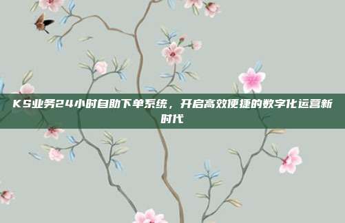 KS业务24小时自助下单系统，开启高效便捷的数字化运营新时代