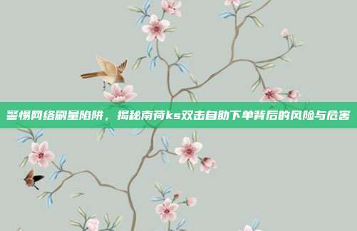 警惕网络刷量陷阱，揭秘南荷ks双击自助下单背后的风险与危害