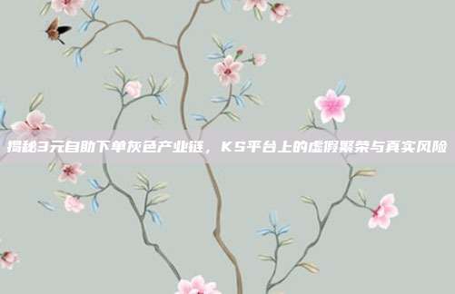揭秘3元自助下单灰色产业链,KS平台上的虚假繁荣与真实风险