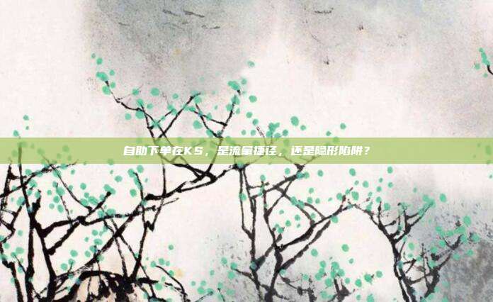 自助下单在KS,是流量捷径,还是隐形陷阱?