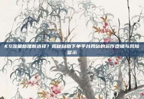 KS流量助推新选择？揭秘自助下单平台网站的运作逻辑与风险警示