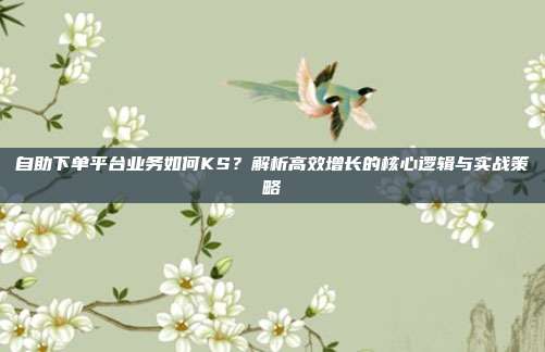 自助下单平台业务如何KS？解析高效增长的核心逻辑与实战策略