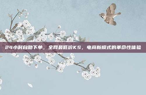 24小时自助下单，全网最低价KS，电商新模式的革命性体验