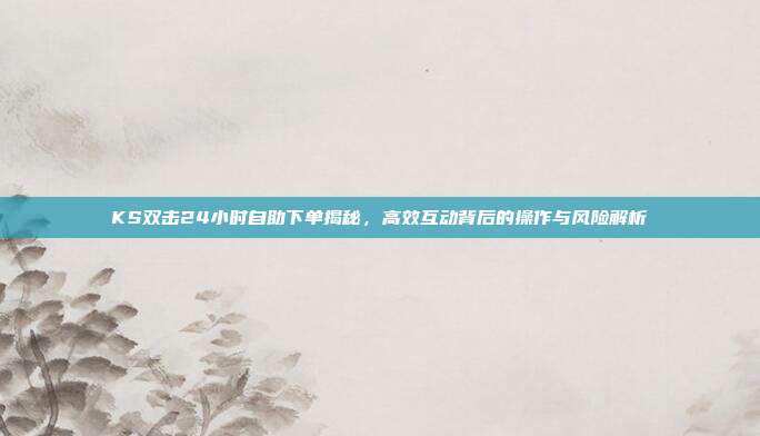 KS双击24小时自助下单揭秘，高效互动背后的操作与风险解析