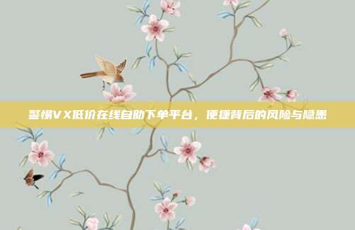 警惕VX低价在线自助下单平台,便捷背后的风险与隐患