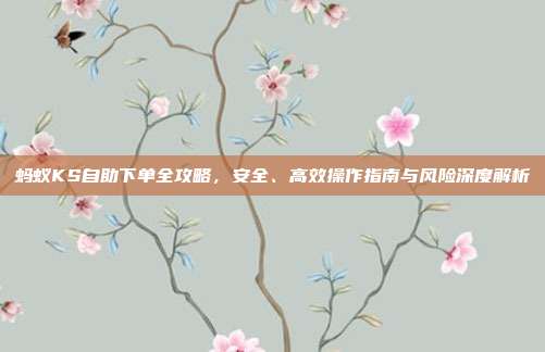 蚂蚁KS自助下单全攻略，安全、高效操作指南与风险深度解析