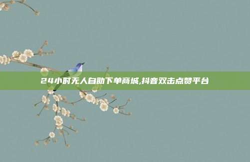 24小时无人自助下单商城,抖音双击点赞平台
