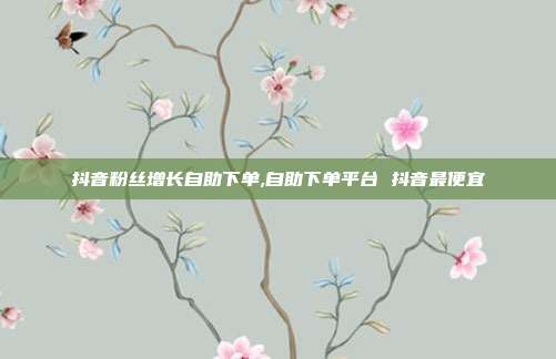 抖音粉丝增长自助下单,自助下单平台 抖音最便宜