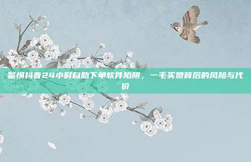 警惕抖音24小时自助下单软件陷阱，一毛买赞背后的风险与代价