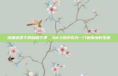 流量迷思下的自助下单，当KS热评成为一门被操纵的生意