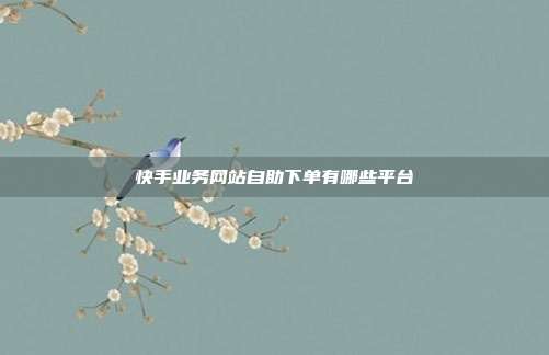 快手业务网站自助下单有哪些平台