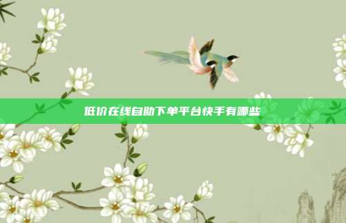 低价在线自助下单平台快手有哪些