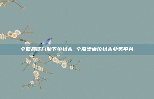 全网最低自助下单抖音 全品类底价抖音业务平台