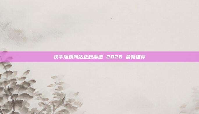 快手涨粉网站正规渠道 2026 最新推荐