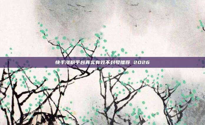 快手涨粉平台真实有效不封号推荐 2026