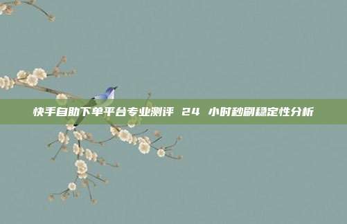 快手自助下单平台专业测评 24 小时秒刷稳定性分析