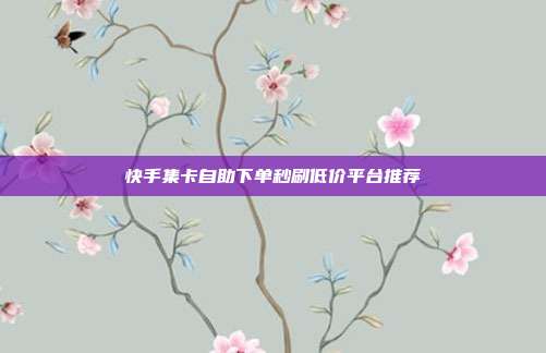 快手集卡自助下单秒刷低价平台推荐