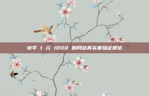 快手 1 元 1000 粉网站真实度验证避坑
