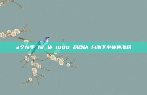3个快手 19 块 1000 粉网站 自助下单快速涨粉