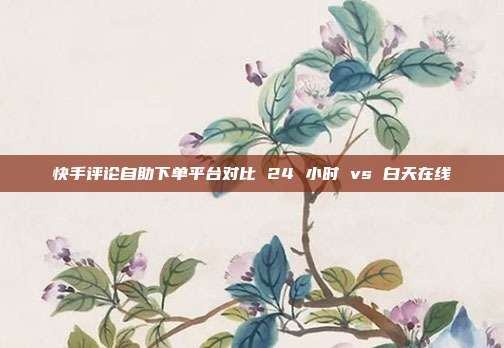 快手评论自助下单平台对比 24 小时 vs 白天在线