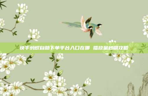 快手蚂蚁自助下单平台入口在哪 播放量秒刷攻略