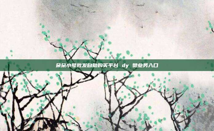 朵朵小号批发自助购买平台 dy 赞业务入口