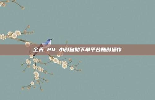 全天 24 小时自助下单平台随时操作