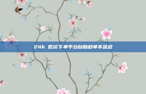 24h 低价下单平台自助秒单不延迟