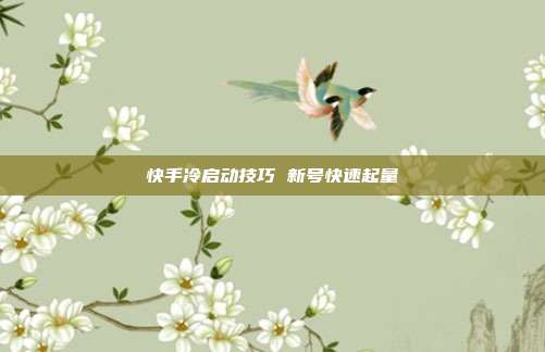 快手冷启动技巧 新号快速起量