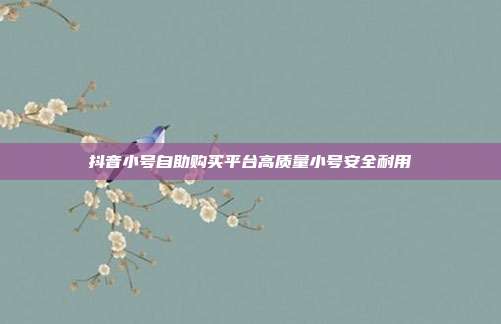 抖音小号自助购买平台高质量小号安全耐用