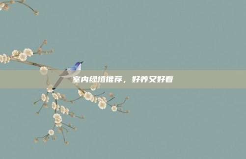 室内绿植推荐,好养又好看