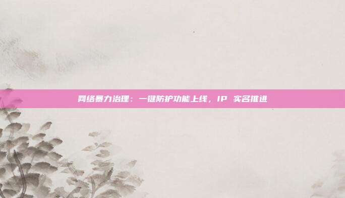 网络暴力治理：一键防护功能上线，IP 实名推进