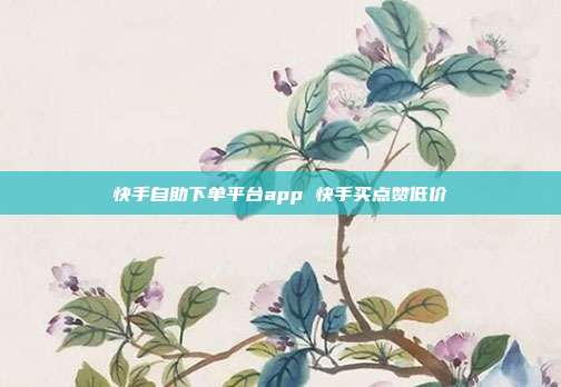 快手自助下单平台app 快手买点赞低价