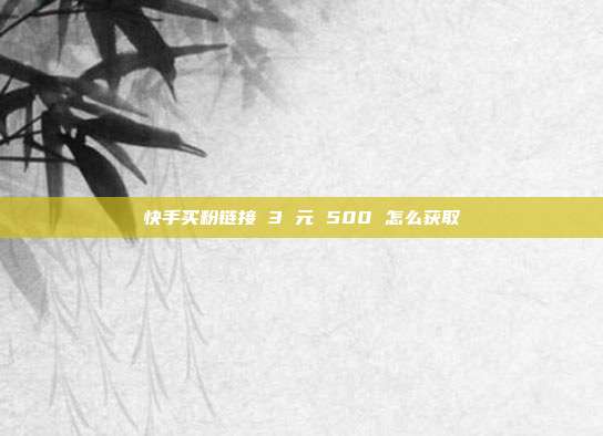 快手买粉链接 3 元 500 怎么获取