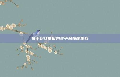 快手粉丝低价购买平台在哪里找