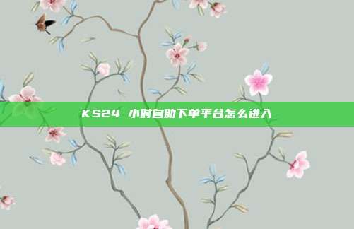 KS24 小时自助下单平台怎么进入