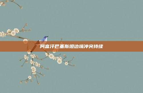 阿富汗巴基斯坦边境冲突持续