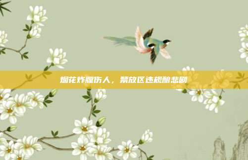 烟花炸膛伤人,禁放区违规酿悲剧