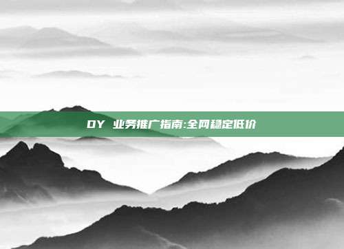 DY 业务推广指南:全网稳定低价